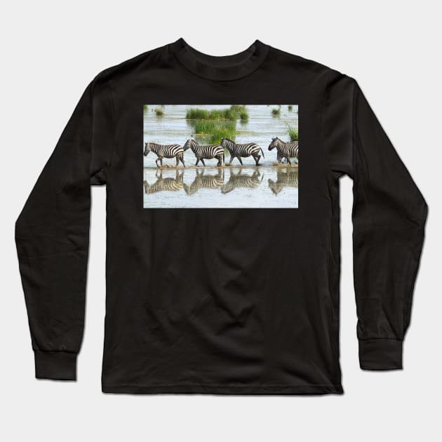 Zebras Stepping Out Long Sleeve T-Shirt by Carole-Anne